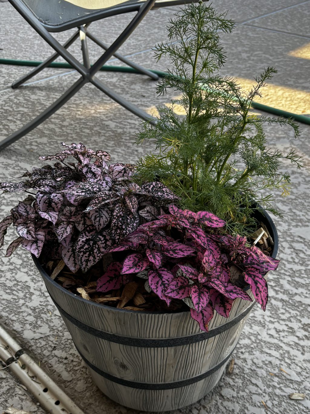 Mailbox question: how to keep pots from drying&nbsp;out